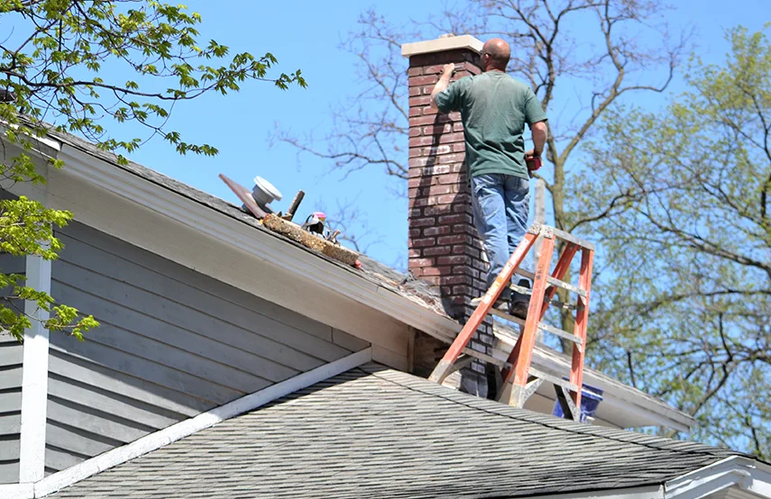 Chimney & Fireplace Inspections Services in Mechanicsville, VA